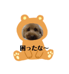愛犬の会話（個別スタンプ：5）