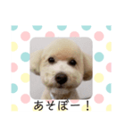 愛犬の会話（個別スタンプ：11）
