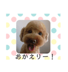 愛犬の会話（個別スタンプ：14）