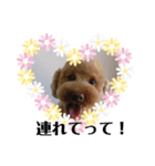 愛犬の会話（個別スタンプ：16）
