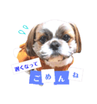 わんちゃん’s（個別スタンプ：10）