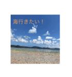 夏スタンプ(from 沖縄)（個別スタンプ：5）