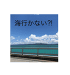 夏スタンプ(from 沖縄)（個別スタンプ：7）