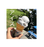 夏スタンプ(from 沖縄)（個別スタンプ：12）