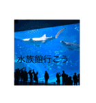 夏スタンプ(from 沖縄)（個別スタンプ：14）