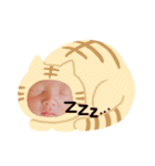 あおくんスタンプ♪♪（個別スタンプ：2）