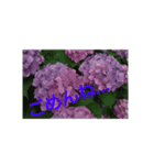 気持ち花（個別スタンプ：8）