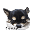 海くんの一言:3（個別スタンプ：8）