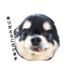 海くんの一言:3（個別スタンプ：13）