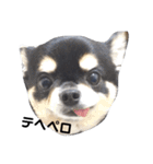 海くんの一言:3（個別スタンプ：14）