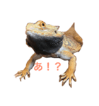 我がペット達（個別スタンプ：2）