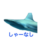 性格の良いサメ君スタンプ（個別スタンプ：8）
