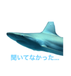 性格の良いサメ君スタンプ（個別スタンプ：12）