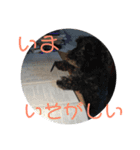 シュナとスコッチの日常②（個別スタンプ：8）