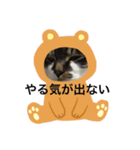 ごんちゃん可愛いスタンプ（個別スタンプ：5）