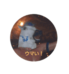 RAITO ＆ MEI 1（個別スタンプ：14）