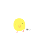 きほんのひよこ（個別スタンプ：1）