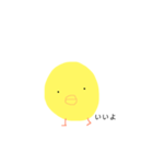 きほんのひよこ（個別スタンプ：24）
