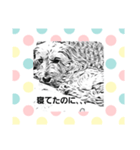 ワイヤーダックスのコロンとミオです（個別スタンプ：9）