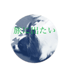 群馬のパピヨンさくすば（個別スタンプ：7）