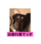 プルートスタンプ②（個別スタンプ：3）