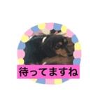 プルートスタンプ②（個別スタンプ：4）