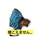 プルートスタンプ②（個別スタンプ：5）