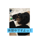 プルートスタンプ②（個別スタンプ：8）
