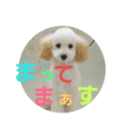 福ちゃん＆ゆづちゃん 2（個別スタンプ：1）