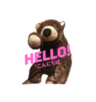 くまきちと愉快な仲間たち1（個別スタンプ：1）