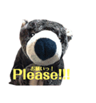 くまきちと愉快な仲間たち1（個別スタンプ：13）