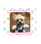 こころのこころ（個別スタンプ：2）