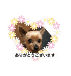 こころのこころ（個別スタンプ：4）