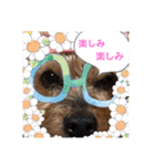 こころのこころ（個別スタンプ：8）