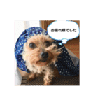 こころのこころ（個別スタンプ：11）
