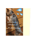こころのこころ（個別スタンプ：14）