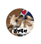 こころのこころ（個別スタンプ：20）
