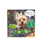 こころのこころ（個別スタンプ：22）