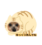 こころのこころ（個別スタンプ：23）