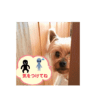 こころのこころ（個別スタンプ：24）