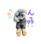 といぷーあぽち 2（個別スタンプ：1）