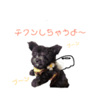 くろみ  ②（個別スタンプ：2）
