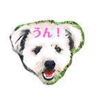 ポメプー くーちゃん（個別スタンプ：1）