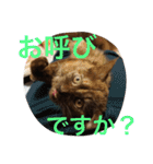 もっぷさんスタンプ（個別スタンプ：9）
