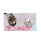 もっぷさんスタンプ（個別スタンプ：12）