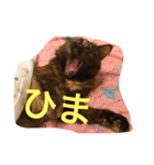 もっぷさんスタンプ（個別スタンプ：15）