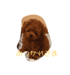 ししまる67（個別スタンプ：4）
