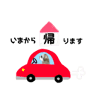 シーズーあんずちゃん（個別スタンプ：13）