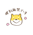 ゆるっとバドミントン（個別スタンプ：7）