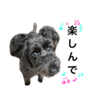 うちのぺぺ2（個別スタンプ：3）